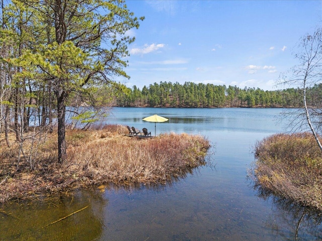 water view with a view of trees