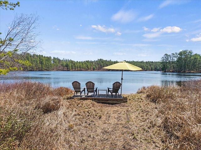 water view with a forest view