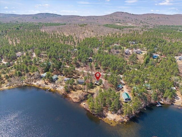 birds eye view of property featuring a water and mountain view and a forest view