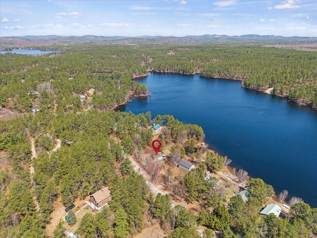 drone / aerial view featuring a view of trees and a water and mountain view
