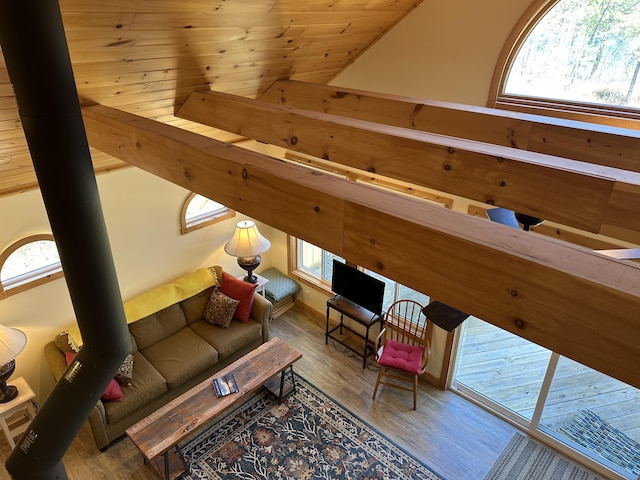 living room with lofted ceiling and wood finished floors