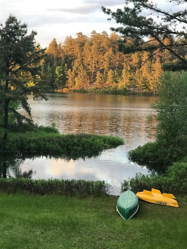 property view of water featuring a wooded view