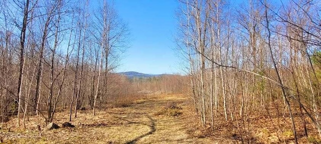 LOT1 Wyatts Way, Livermore, ME 04253
