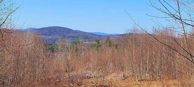 LOT1 Wyatts Way, Livermore, ME 04253