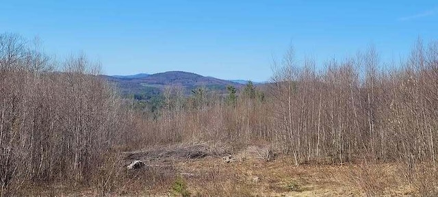 LOT1 Wyatts Way, Livermore, ME 04253