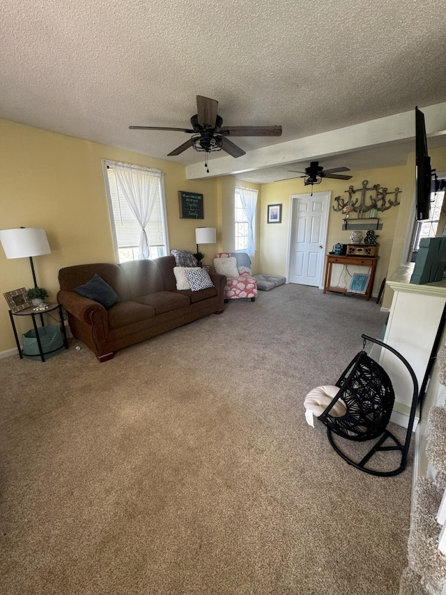 1002 River Rd, Orrington, ME 04474 - carpeted living room featuring baseboards, a ceiling fan, and a textured ceiling