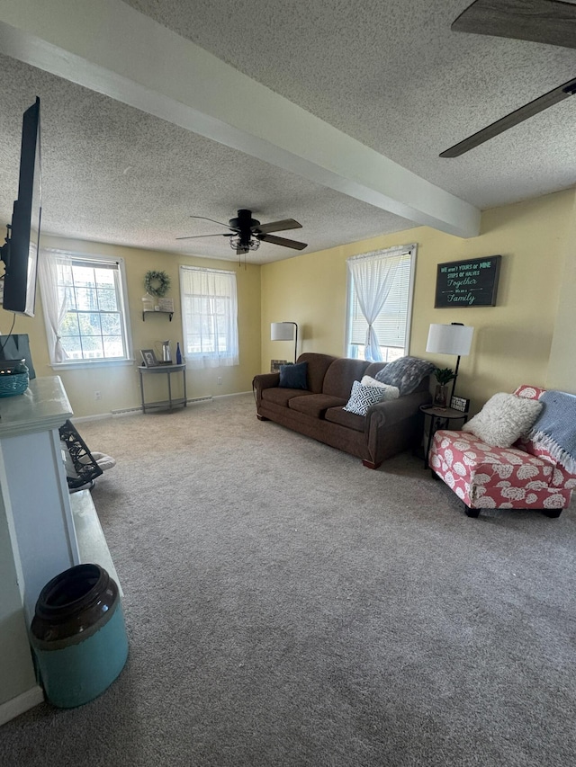 1002 River Rd, Orrington, ME 04474 - living room featuring baseboards, a ceiling fan, carpet flooring, and a textured ceiling