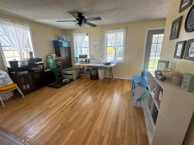 1002 River Rd, Orrington, ME 04474 - office with a ceiling fan, a textured ceiling, and light wood-style flooring