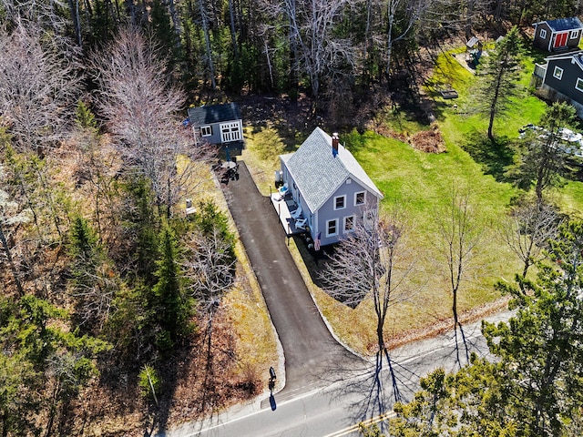 bird's eye view