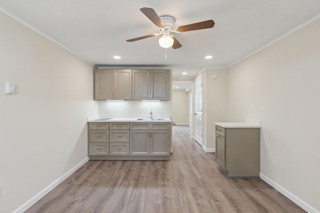 kitchen featuring a ceiling fan, ornamental molding, a sink, and light wood finished floors