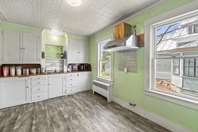 kitchen with open shelves, a sink, an ornate ceiling, butcher block counters, and radiator