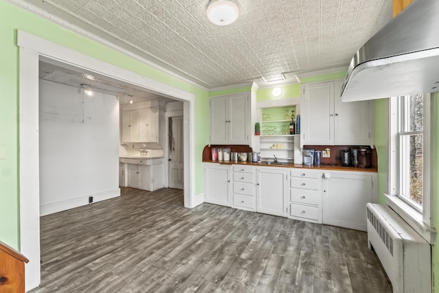 kitchen with radiator heating unit, an ornate ceiling, wall chimney exhaust hood, and a sink