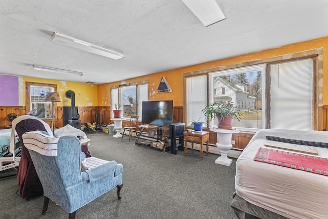 carpeted living area with a textured ceiling, wood walls, a wood stove, and a wainscoted wall