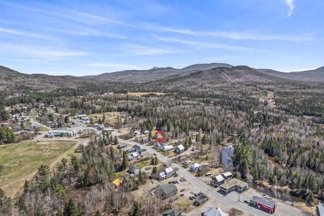 drone / aerial view featuring a forest view and a mountain view