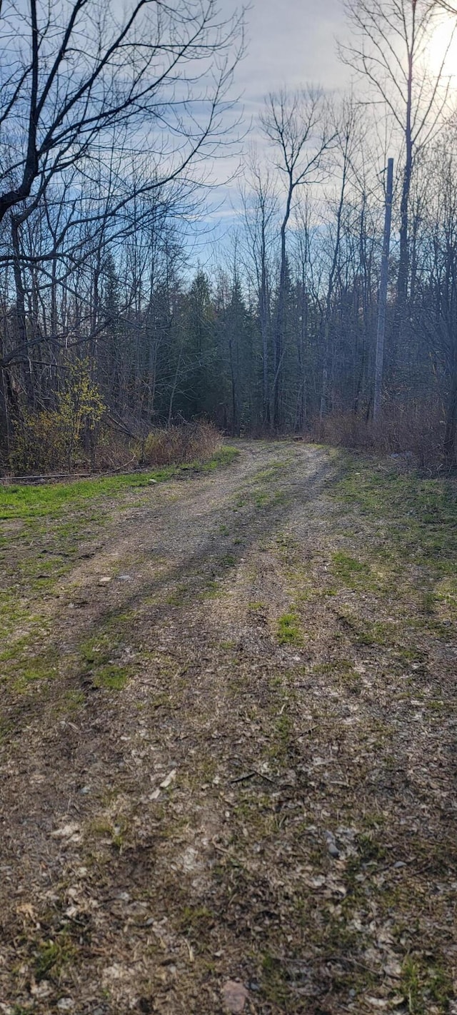 69 Hodgins Ln, Calais, ME 04619