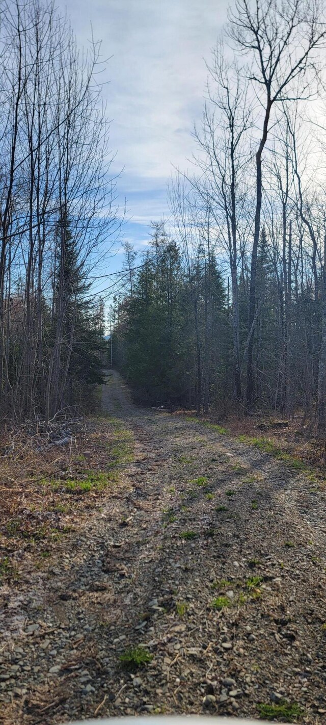 69 Hodgins Ln, Calais, ME 04619