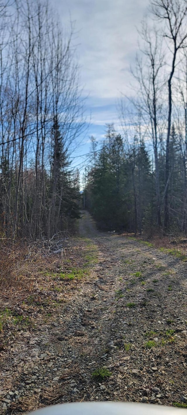 69 Hodgins Ln, Calais, ME 04619