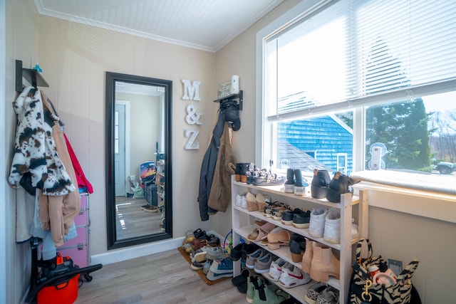 interior space with baseboards, ornamental molding, wood finished floors, and a healthy amount of sunlight