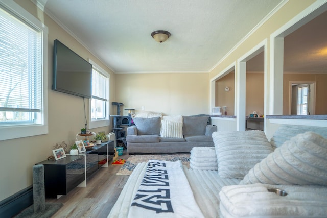 living room featuring ornamental molding and wood finished floors