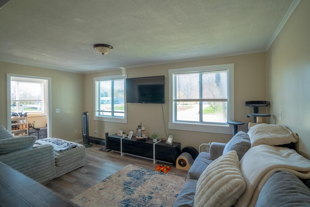 living room featuring crown molding, a textured ceiling, a healthy amount of sunlight, and wood finished floors