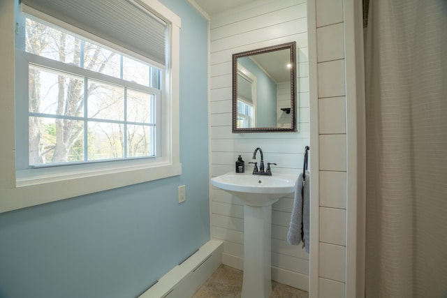 bathroom with baseboards, wood walls, and a wealth of natural light