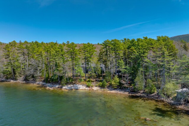 8 Spring Ln, Mount Desert, ME 04660 - water view with a heavily wooded area
