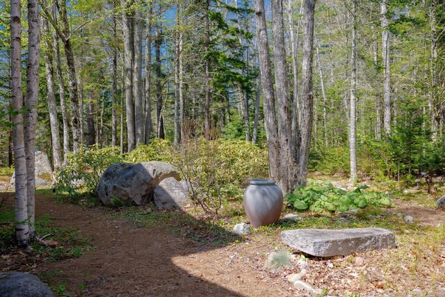 8 Spring Ln, Mount Desert, ME 04660 - view of yard with a view of trees