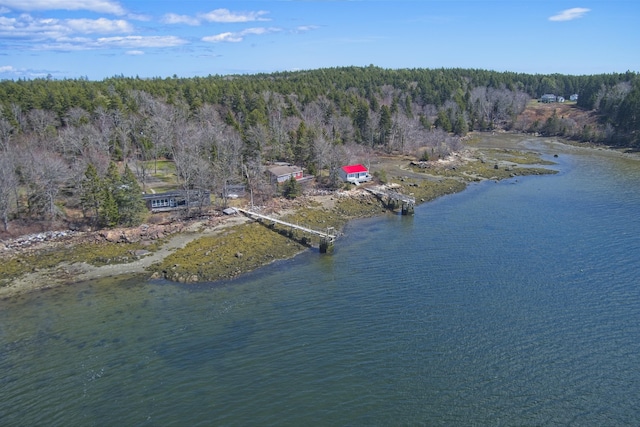 drone / aerial view featuring a water view and a forest view