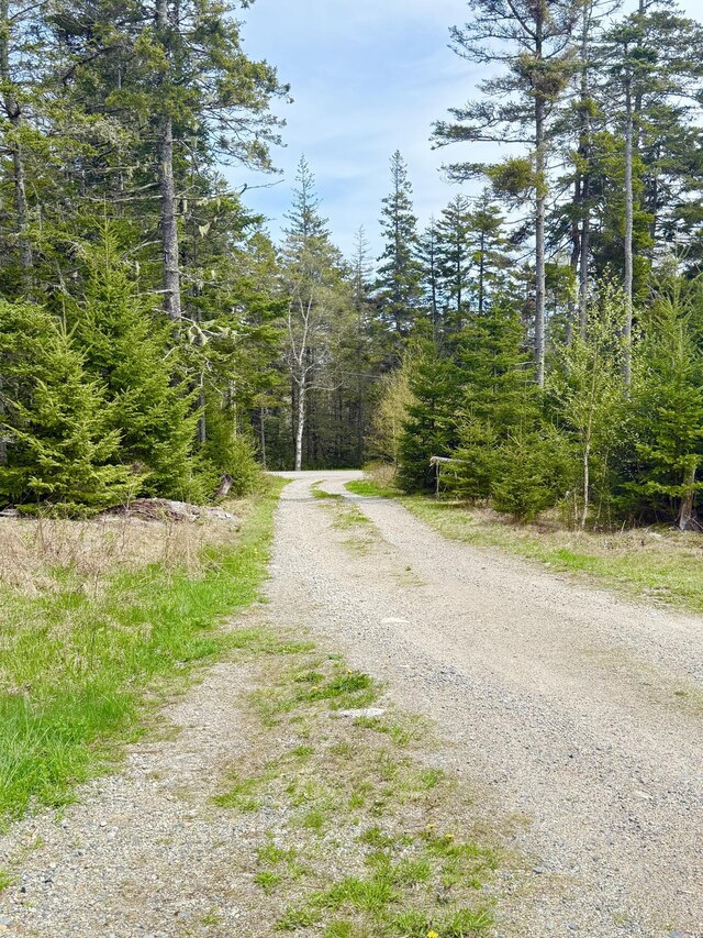 view of road with a forest view