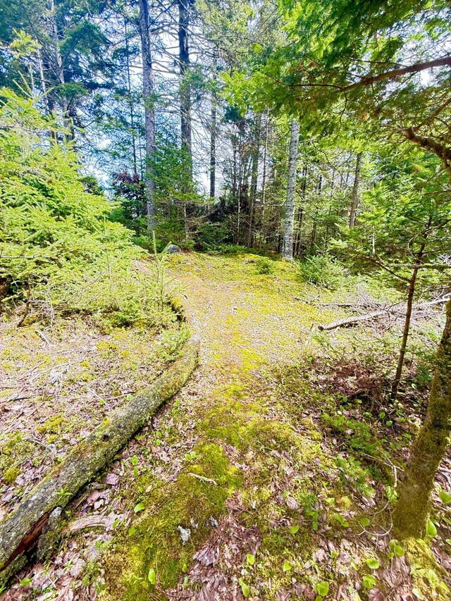 8 Berry Ln, Vinalhaven, ME 04863 - view of road