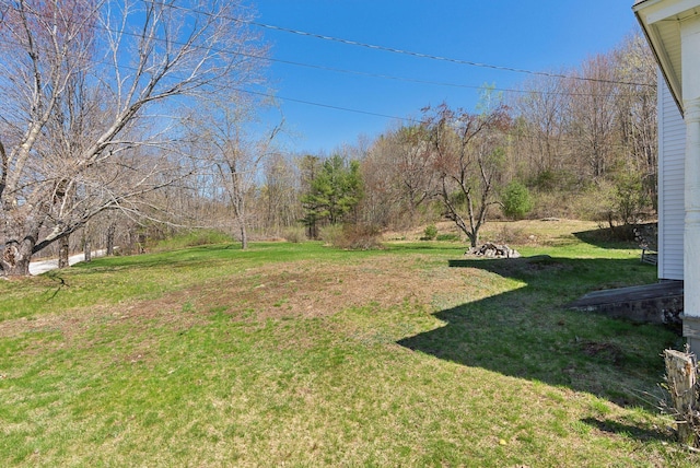 193 Spec Pond Rd, Porter, ME 04068 - view of yard