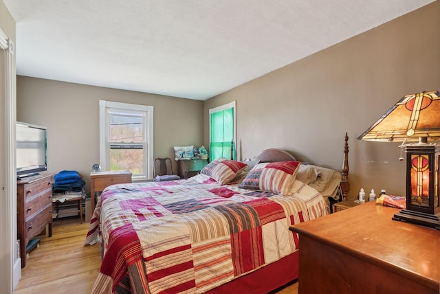193 Spec Pond Rd, Porter, ME 04068 - bedroom with light wood-style flooring