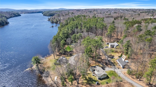 bird's eye view featuring a water view and a wooded view
