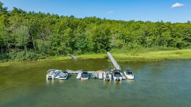 dock area with a water view and a view of trees