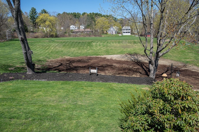 view of grassy yard