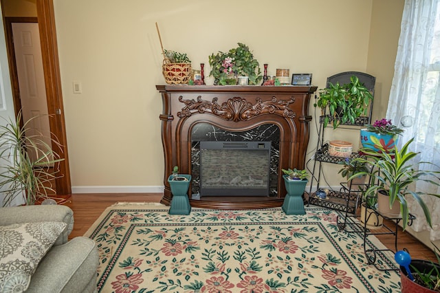 living area featuring a premium fireplace, wood finished floors, and baseboards