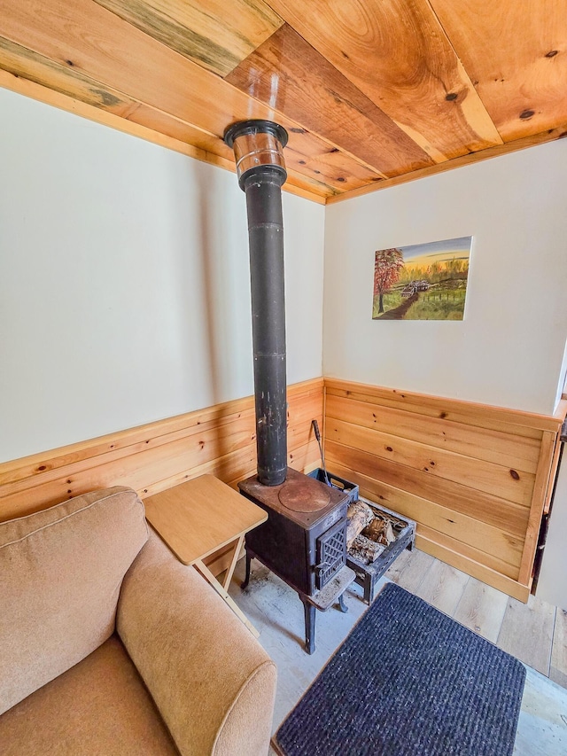 living area featuring wood walls, wainscoting, and a wood stove