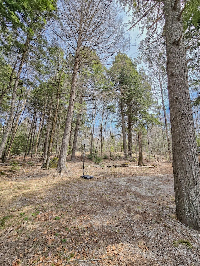 view of local wilderness
