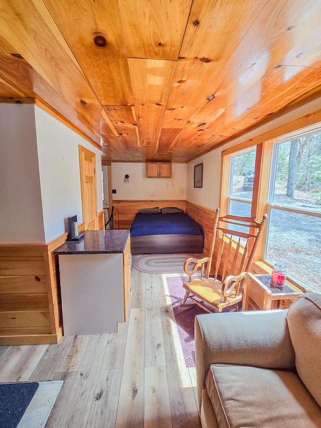 interior space with light wood-style floors, wooden ceiling, wainscoting, and wood walls