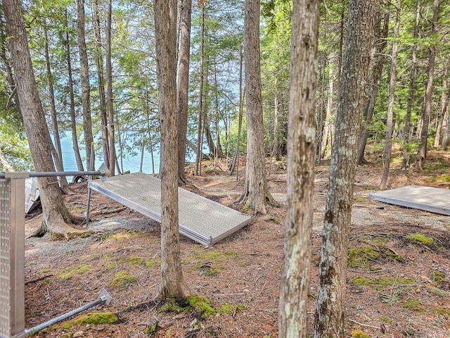 view of yard with a water view