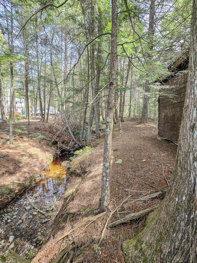 view of local wilderness