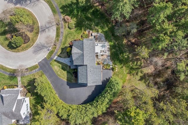 bird's eye view