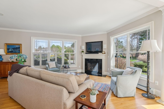 living area featuring crown molding, a fireplace with flush hearth, a baseboard radiator, and light wood-type flooring