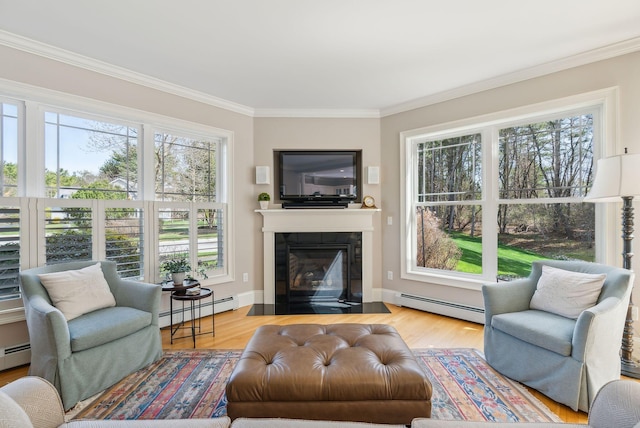 living area with a baseboard radiator, ornamental molding, and wood finished floors