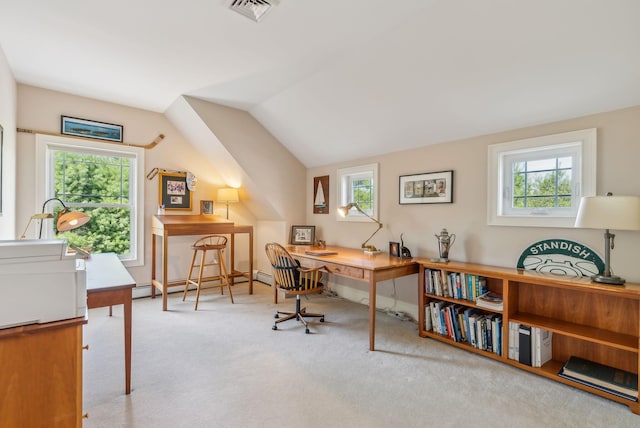 office space with carpet floors, plenty of natural light, and visible vents