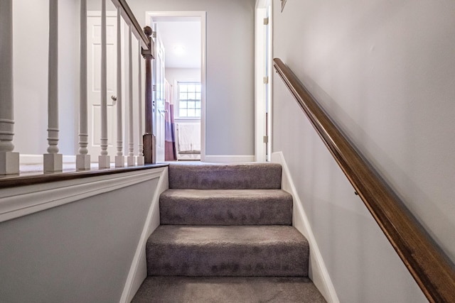 stairs featuring baseboards and carpet