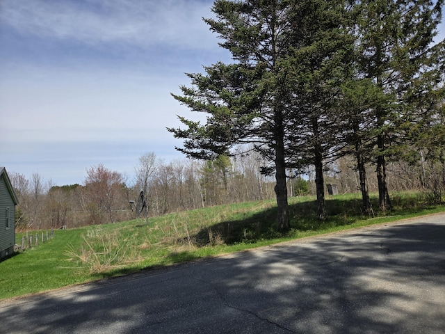 view of road featuring a view of trees