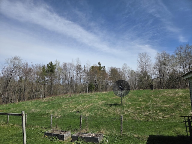 view of yard featuring a vegetable garden and fence