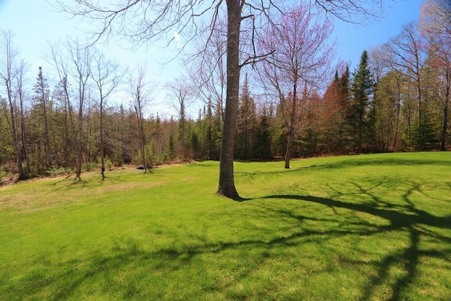 view of yard featuring a forest view