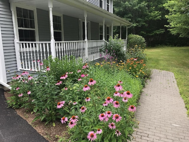 view of yard featuring a porch
